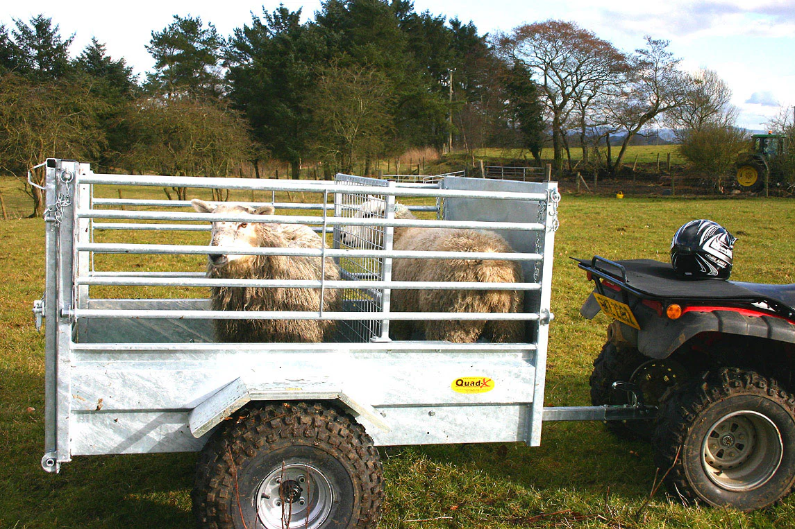 Quad-X ATV Stock Trailer Folding Side - 5 X 3'3 - Image 3