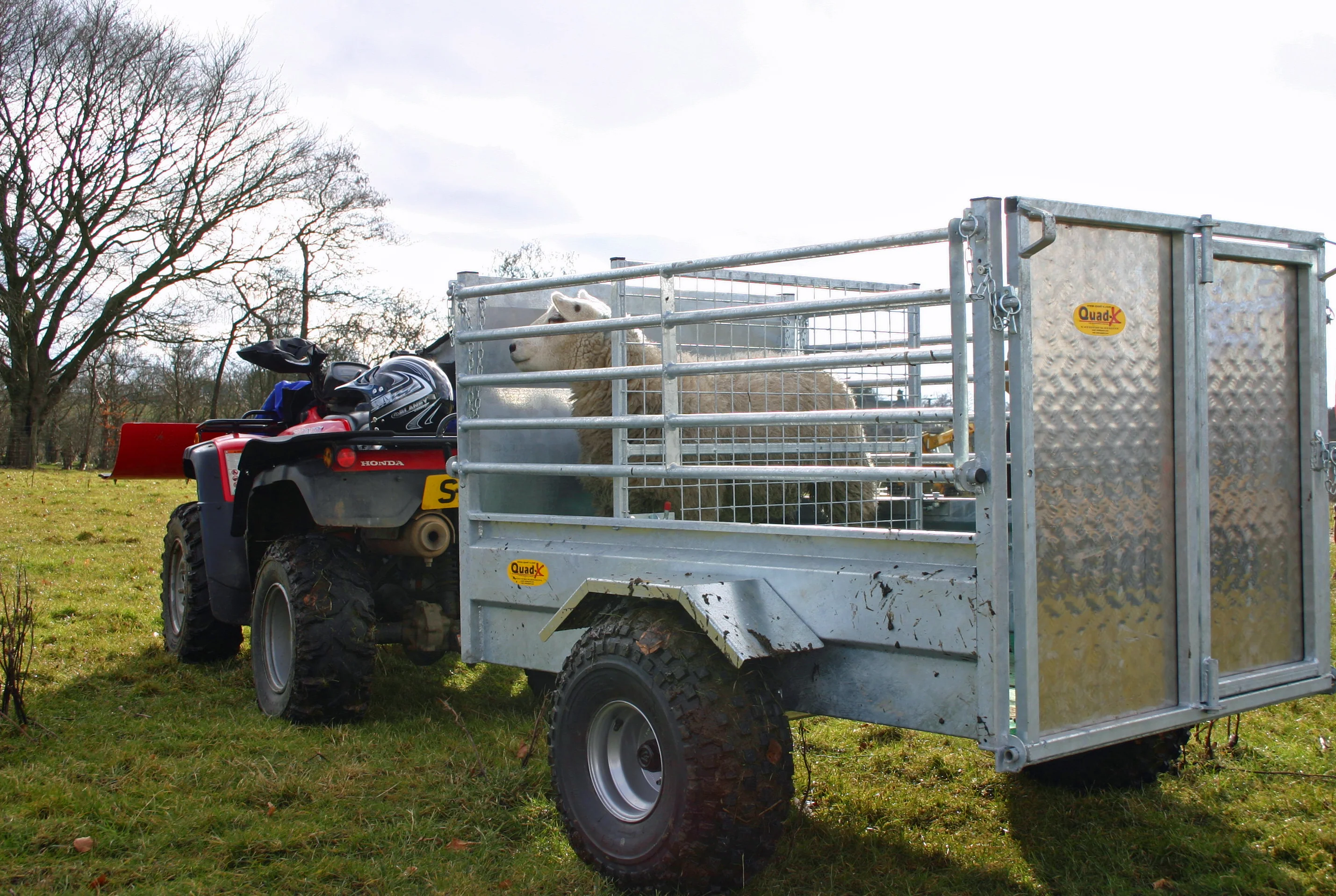 Quad-X ATV Stock Trailer Folding Side - 5 X 3'3 - Image 4